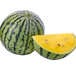 Dehner Wassermelone, Gelb Best