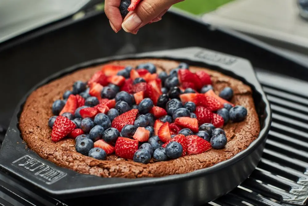 Weber Elektrogrill Pulse 2000 Black Schwarz Discount
