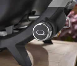 Weber Gasgrill Q2100N, ca. B76/H42/T50 cm Schwarz Sale