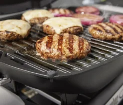 Weber Gasgrills > Gasgrill Q1200N, ca. B105/H38/T44 cm