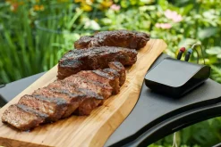Weber Thermometer Connect Smart Grilling Hub Schwarz Hot