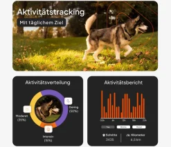 Weenect Mehr Transport & Unterwegs > XT GPS-Tracker für Hunde inkl. JK9 Halsband
