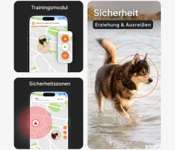 Weenect Mehr Transport & Unterwegs > XT GPS-Tracker für Hunde