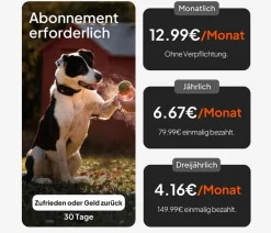 Weenect Mehr Transport & Unterwegs > XT GPS-Tracker für Hunde