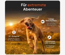 Weenect XT GPS-Tracker für Hunde inkl. JK9 Halsband Orange Discount