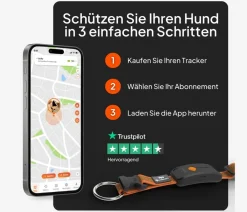 Weenect XT GPS-Tracker für Hunde inkl. JK9 Halsband Orange Discount