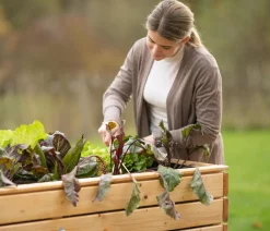 Westmann Hochbeet Fichte Natur New