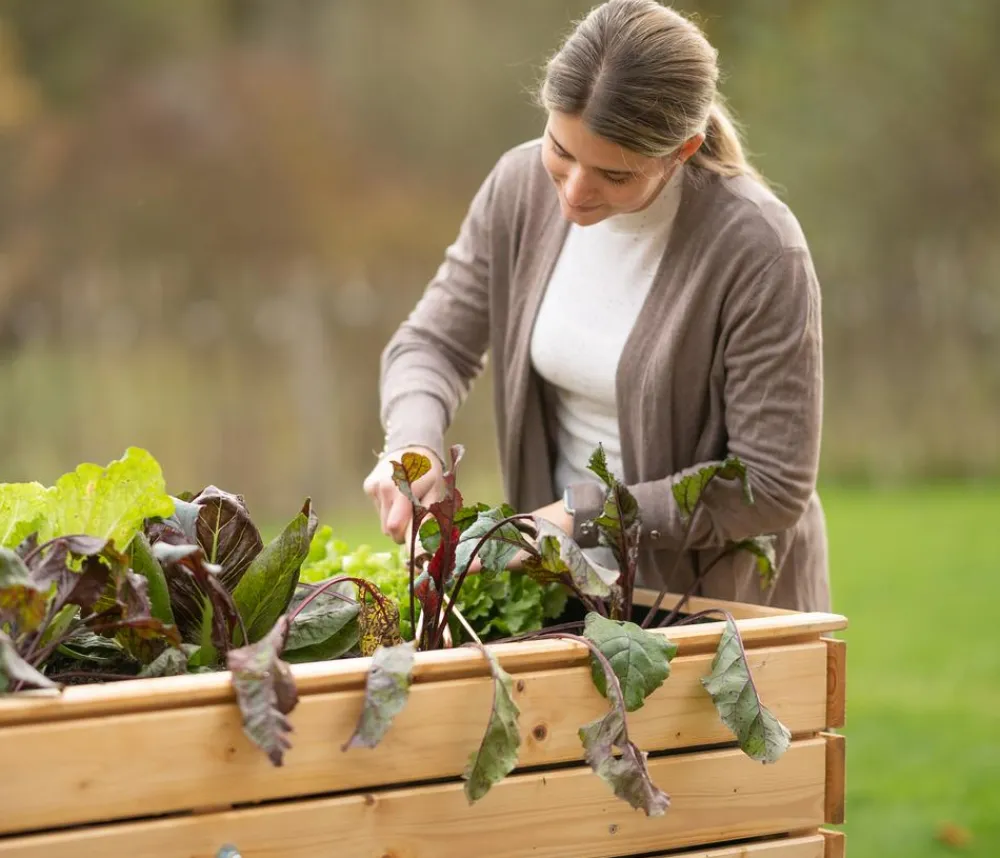 Westmann Hochbeet Fichte Natur New