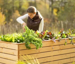 Westmann Hochbeet Fichte Natur New