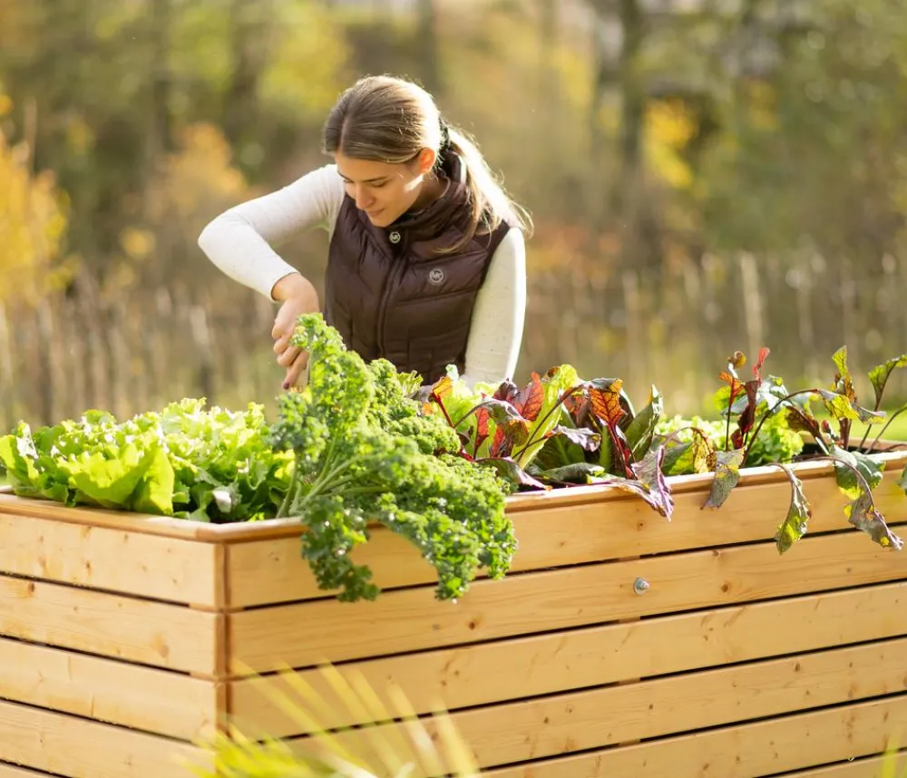 Westmann Hochbeet Fichte Natur New