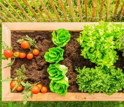 Westmann Hochbeete & Frühbeete > Holz-Hochbeet Lärche
