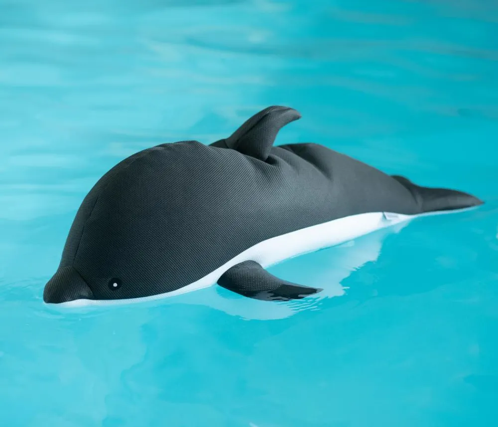 Westmann Pools & Whirlpools|Spielzeug - Pool-Buddy Delfin