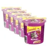 Whiskas® Katzensnack Crunch mit Huhn, Truthahn & Ente, 5 x 100 g Online
