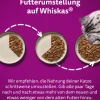 Whiskas® Nassfutter für Katzen Multipack Jumbo Klassische Auswahl in Sauce, Adult, 80 x 85 g Clearance