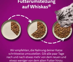 Whiskas® Nassfutter für Katzen Multipack Jumbo Klassische Auswahl in Sauce, Adult, 80 x 85 g Clearance