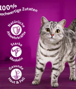 Whiskas® Nassfutter für Katzen Multipack Jumbo Klassische Auswahl in Sauce, Adult, 80 x 85 g Clearance