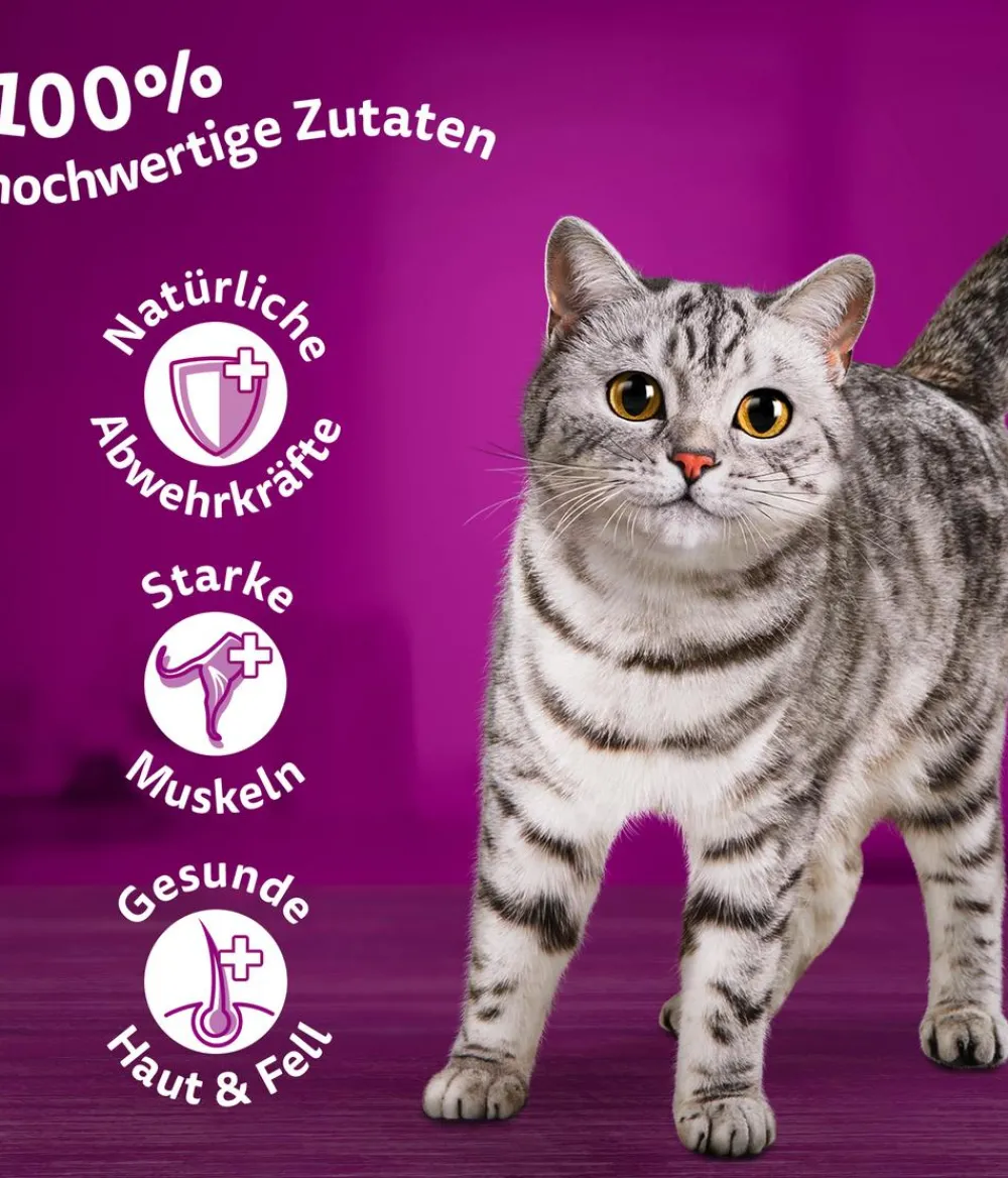 Whiskas® Nassfutter für Katzen Multipack Jumbo Klassische Auswahl in Sauce, Adult, 80 x 85 g Clearance