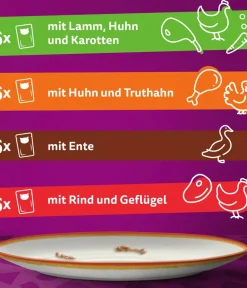 Whiskas® Nassfutter Katze - Nassfutter für Katzen Multipack Tasty Mix Country Collection in Sauce, Adult