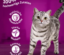 Whiskas® Nassfutter für Katzen Multipack Tasty Mix Fish of the day in Sauce, Adult, 12 x 85 g