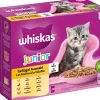 Whiskas® Nassfutter Katze - Nassfutter für Katzen Multipack Geflügel Auswahl in Gelee, Junior, 12 x 85 g