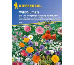 Nebelung/Kiepenkerl Blumensamen - Wildblumen mit Kräutern Mix, Saatgut von Kiepenkerl Bunt