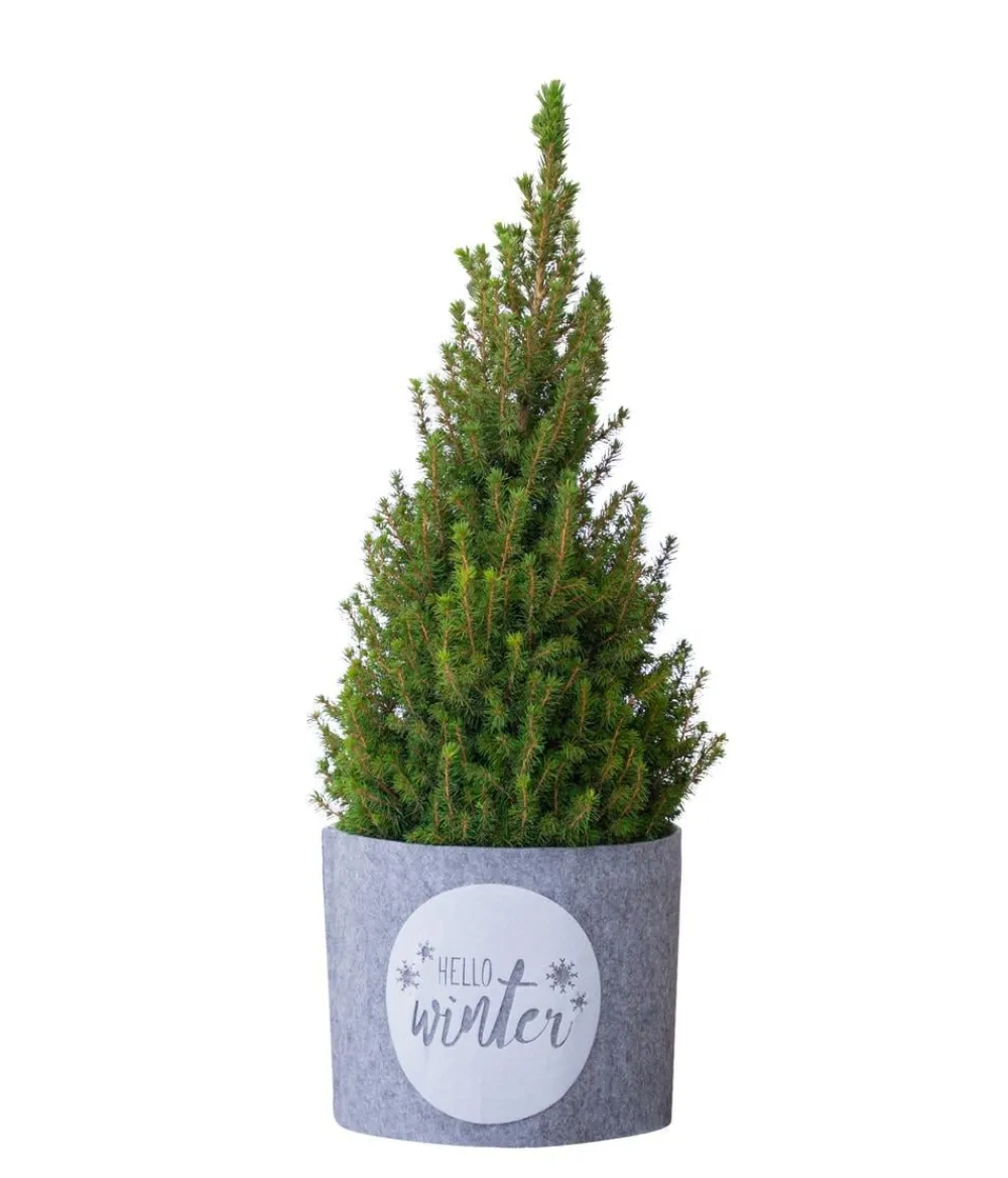 Windhager Deko-Filz-Topfschutz Hello Winter, / Outlet