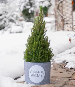 Windhager Deko-Filz-Topfschutz Hello Winter, / Outlet