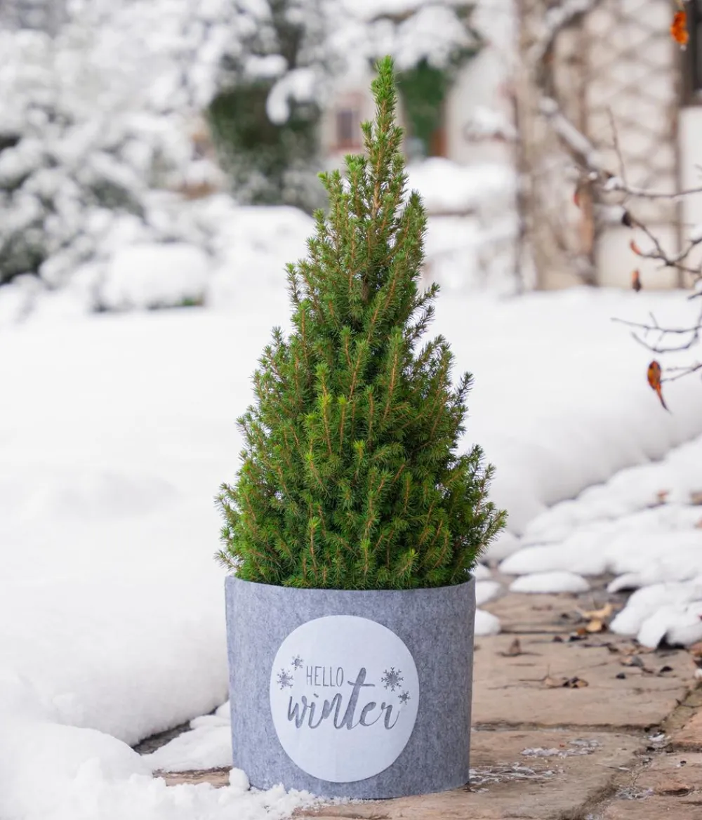 Windhager Deko-Filz-Topfschutz Hello Winter, / Outlet