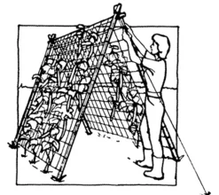 Windhager Ranknetz, 5 x 2 m Hot
