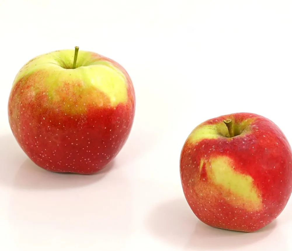Dehner Winterapfel 'Florina' Rot Best