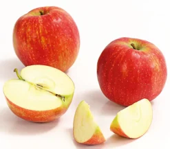 Dehner Obstbäume|Birnen- & Apfelbäume > Winterapfel 'Jonagold'