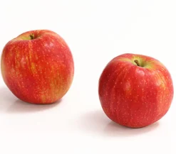Dehner Winterapfel 'Jonagold' Rot Online