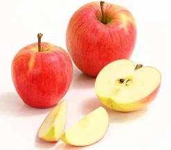 Dehner Obstbäume|Birnen- & Apfelbäume - Winterapfel 'Pinova'