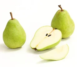 Dehner Obstbäume|Birnen- & Apfelbäume > Winterbirne 'Alexander Lucas'