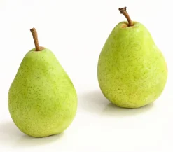 Dehner Obstbäume|Birnen- & Apfelbäume > Winterbirne 'Alexander Lucas'