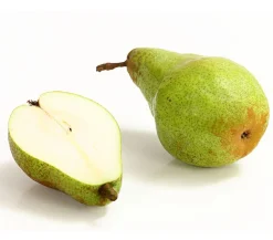 Dehner Obstbäume|Birnen- & Apfelbäume - Winterbirne 'Novembra'