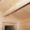 Wolff Finnhaus Gartenhaus Nordkap 70-B Natur Best