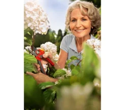 Wolf Garten Heckenschere & Gartenschere > schere RR 4000