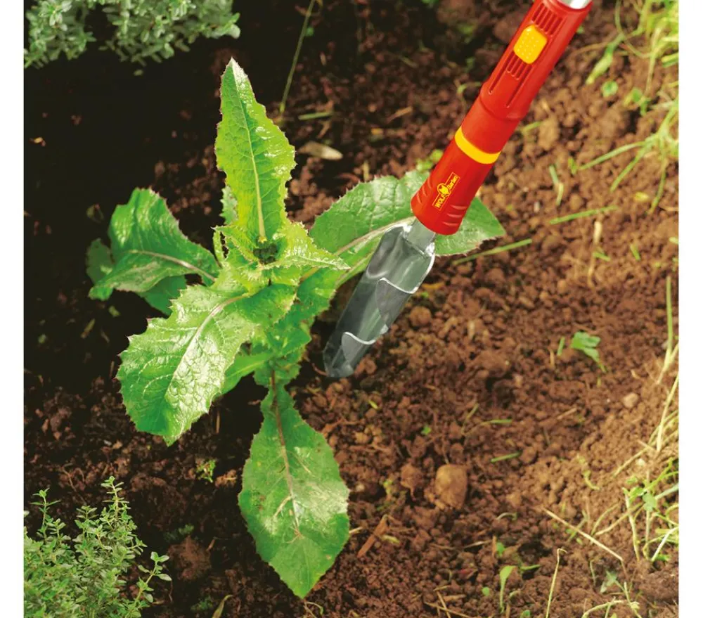 Wolf Garten Gartengeräte > Wolf multi-star® Distelstecher iW-F