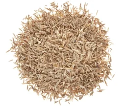 Wolf Garten Rasensamen > Wolf Premium-Rasen Supra