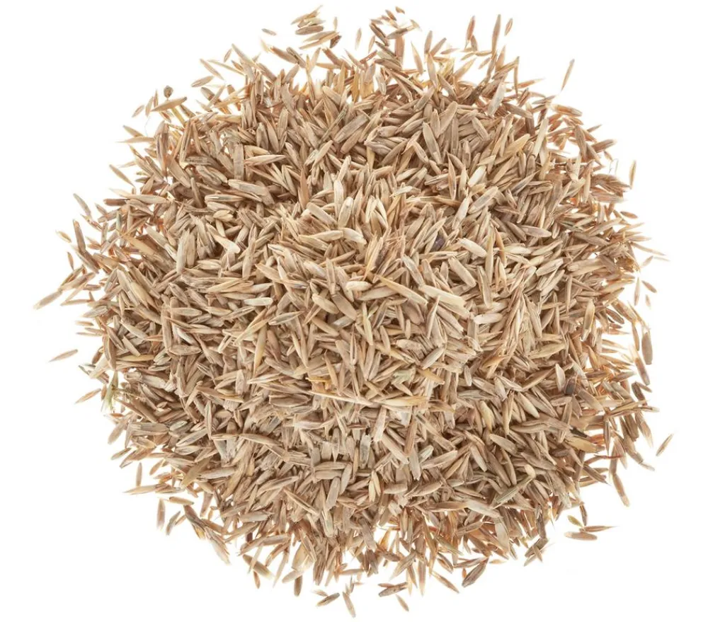 Wolf Garten Rasensamen - Wolf Premium-Rasen Supra