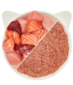 WOW ® Cat Nassfutter für Katzen Multipack Premium Filets, Adult, 6 x 125 g Best
