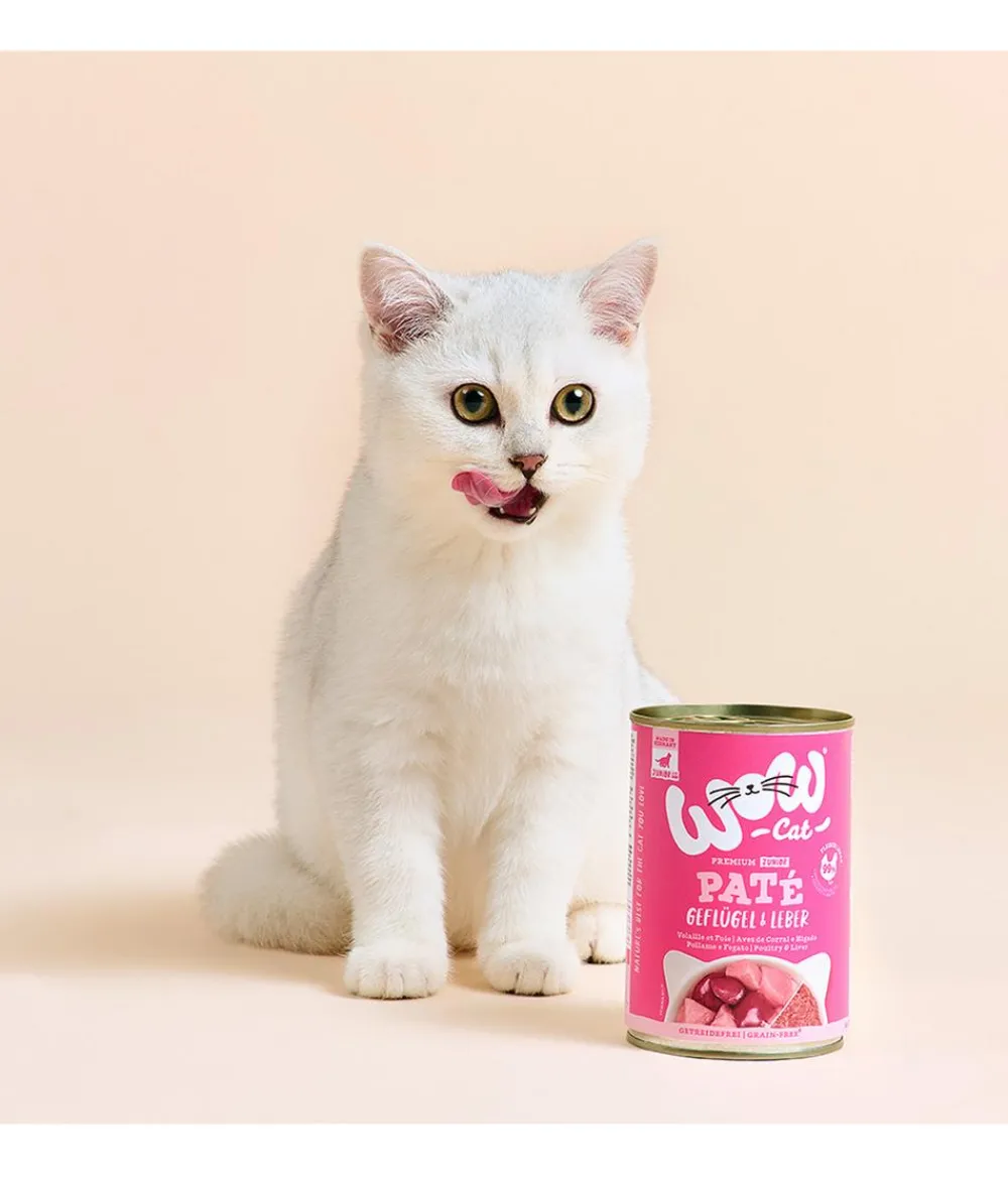 WOW Nassfutter Katze > ® Cat Nassfutter für Katzen Premium Paté Junior, 6 x 400 g
