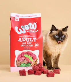WOW Trockenfutter Katze > ® Cat Trockenfutter für Katzen, Adult