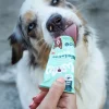 WOW Hundeleckerlies - ® Hundesnack Bio Leberpaste, 80 g