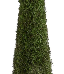 Dehner Terrassenpflanzen|Xxl-Gartenpflanzen > XXL Lebensbaum 'Smaragd' Torwächter