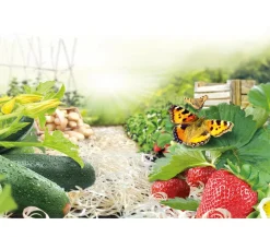 Ziegler Pro Natur® Erdbeer- & Gemüsewolle, 48 x 850 Gramm Outlet