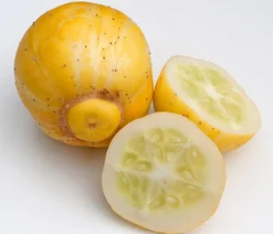 Dehner Zucchini- & Gurkenpflanzen > Zitronengurke