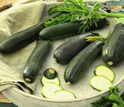 Dehner Zucchini, Grün New