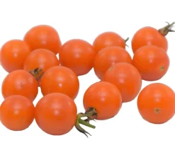 Dehner Auberginen- & Tomatenpflanzen > Zuckertomate,